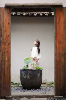 太阳泪在线观看